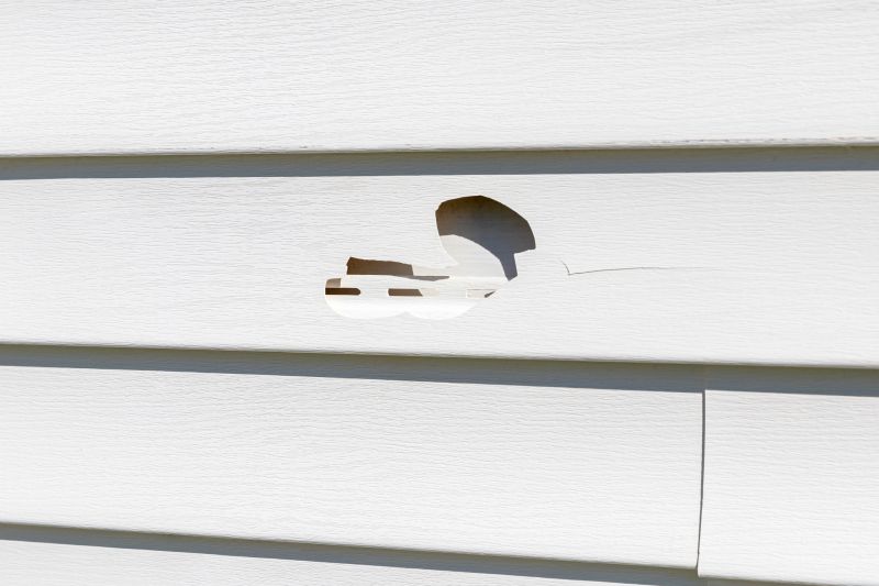 Assessment of Siding Damage