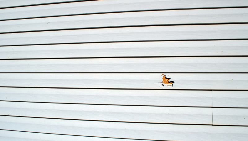 Replacing Damaged Panels