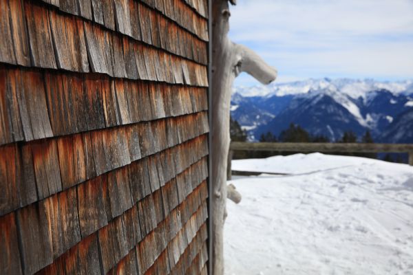 Cedar Siding Repair Service