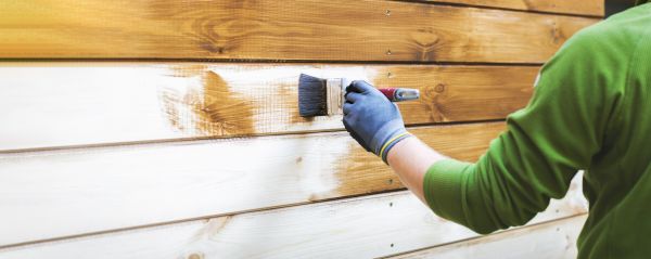 Siding Protection