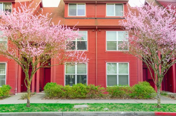 Red Vinyl Siding Replacement